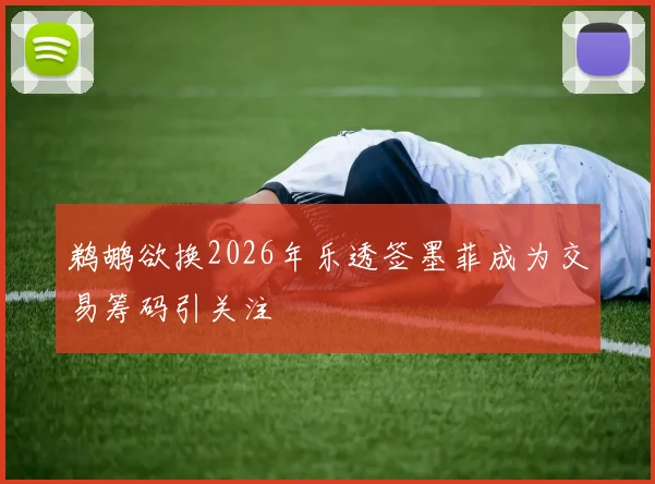 鹈鹕欲换2026年乐透签墨菲成为交易筹码引关注